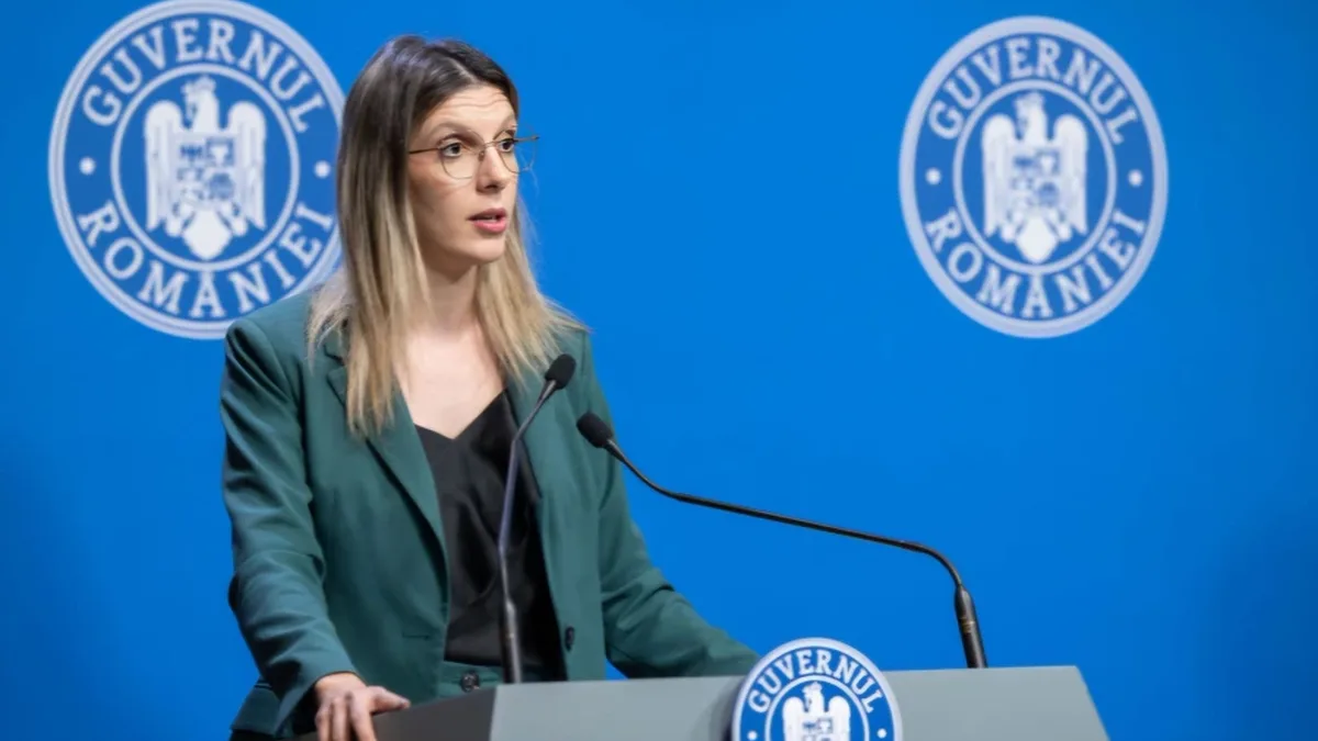 Diana Buzoianu la un pupitru cu microfoane, în fața unui fundal albastru cu însemnele Guvernului României.